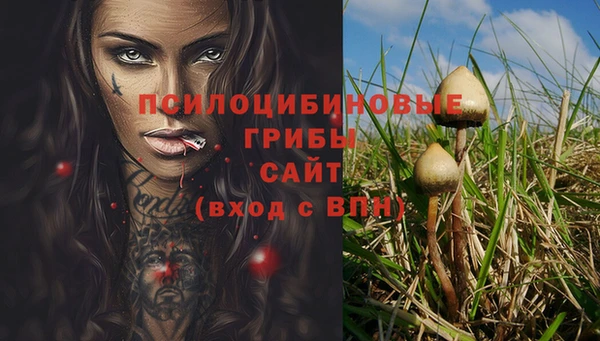 круглые Алзамай