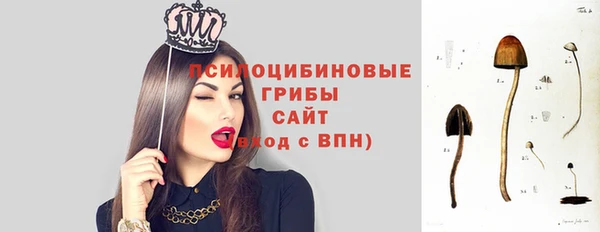 круглые Алзамай