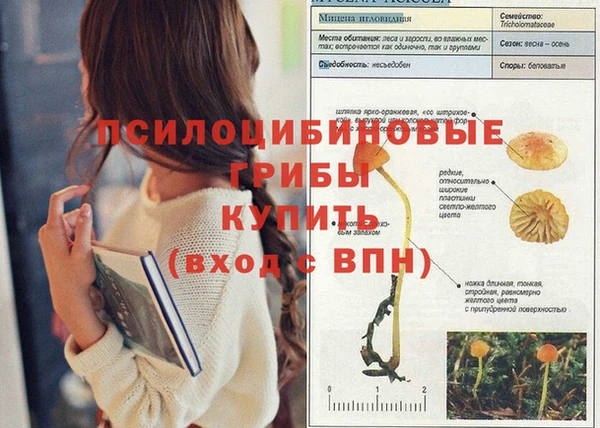 MDMA Алексеевка