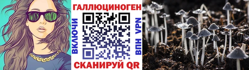 Псилоцибиновые грибы Psilocybe  где можно купить наркотик  Грайворон 