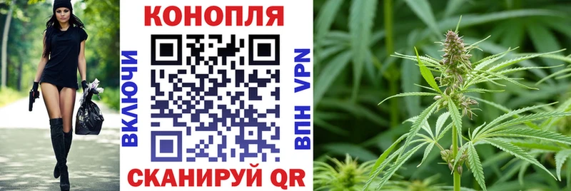 площадка Telegram купить закладку Грайворон Бошки Шишки SATIVA & INDICA